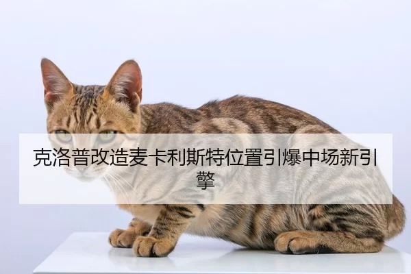 克洛普改造麦卡利斯特位置引爆中场新引擎