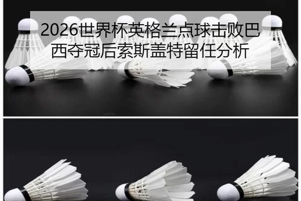 shi-jie-bei-ying-ge-lan-dian-qiu-ji-bai-ba-xi-duo-guan-hou-suo-si-gai-te-liu-ren-fen-xi-3-660.jpg